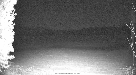 Image from 2025-03-10