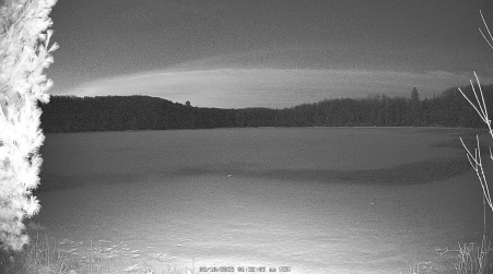 Image from 2025-03-10