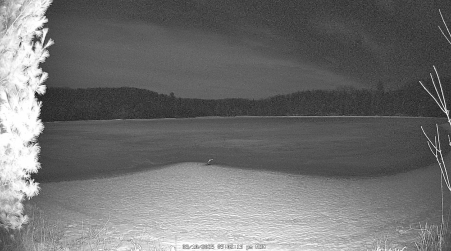 Image from 2025-03-10
