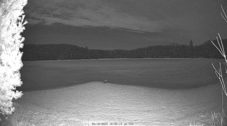 Image from 2025-03-10
