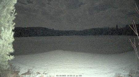 Image from 2025-03-10