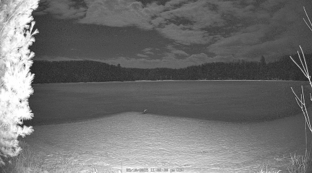 Image from 2025-03-10