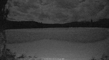 Image from 2025-03-10