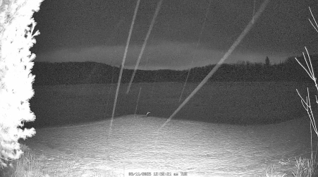 Image from 2025-03-11