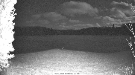 Image from 2025-03-11