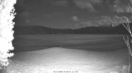 Image from 2025-03-11
