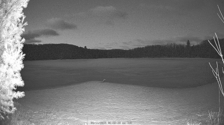 Image from 2025-03-11