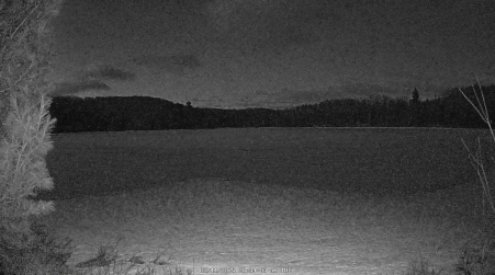 Image from 2025-03-11