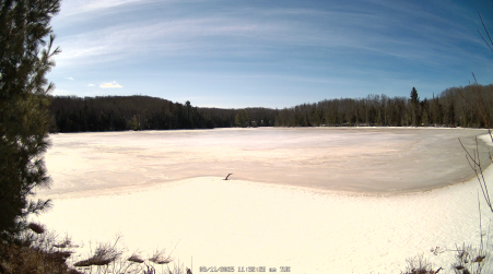 Image from 2025-03-11
