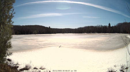 Image from 2025-03-11
