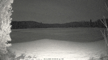 Image from 2025-03-11