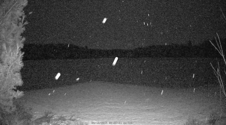 Image from 2025-03-12