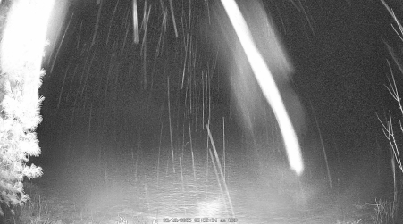 Image from 2025-03-12