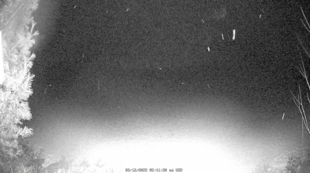 Image from 2025-03-12