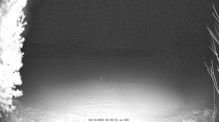 Image from 2025-03-12