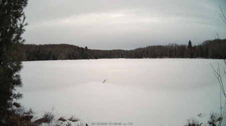 Image from 2025-03-12