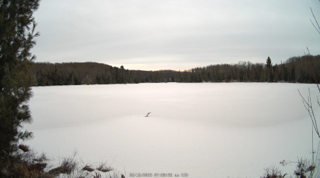 Image from 2025-03-12