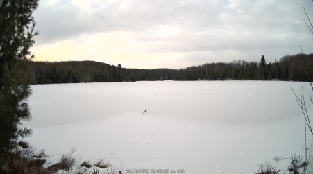 Image from 2025-03-12