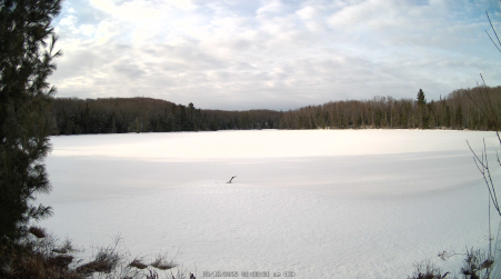 Image from 2025-03-12