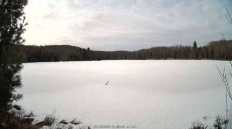 Image from 2025-03-12