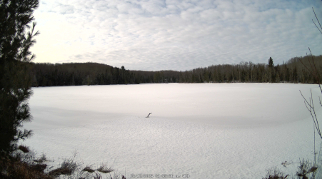 Image from 2025-03-12