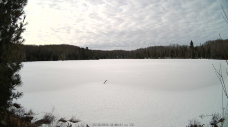 Image from 2025-03-12