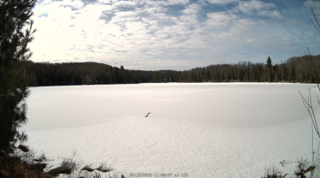 Image from 2025-03-12