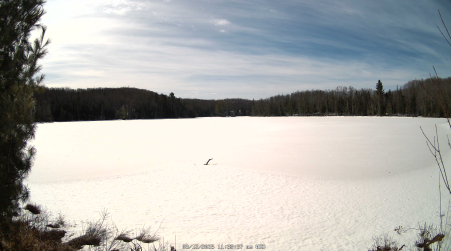 Image from 2025-03-12