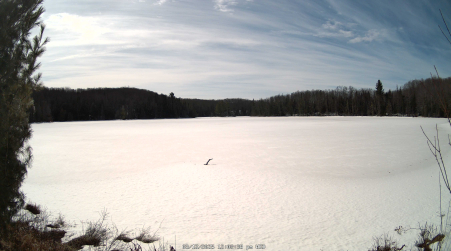 Image from 2025-03-12