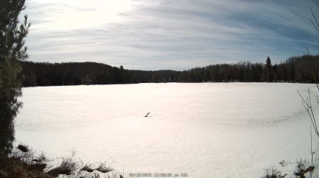 Image from 2025-03-12