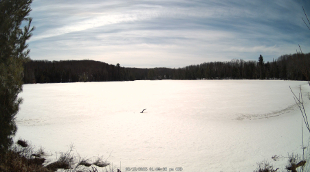 Image from 2025-03-12