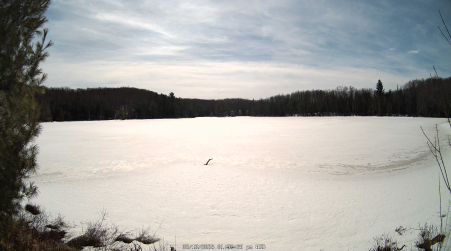 Image from 2025-03-12