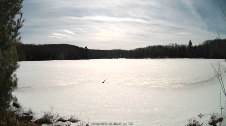 Image from 2025-03-12