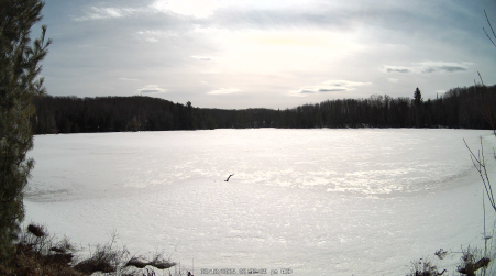 Image from 2025-03-12