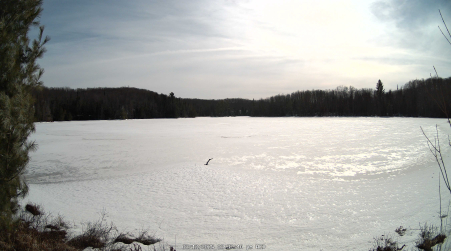 Image from 2025-03-12