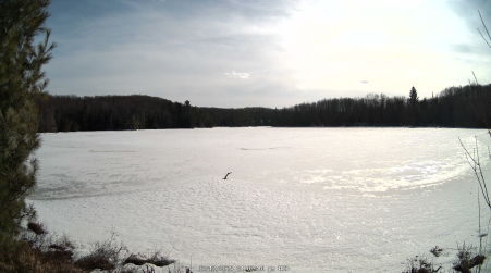 Image from 2025-03-12