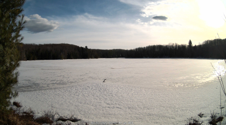 Image from 2025-03-12