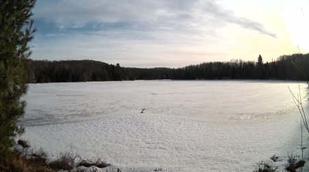 Image from 2025-03-12