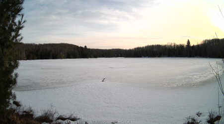 Image from 2025-03-12