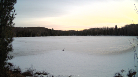 Image from 2025-03-12