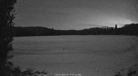 Image from 2025-03-12