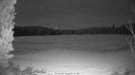 Image from 2025-03-12