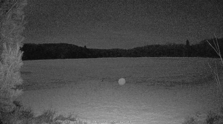 Image from 2025-03-12
