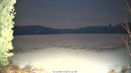 Image from 2025-03-12