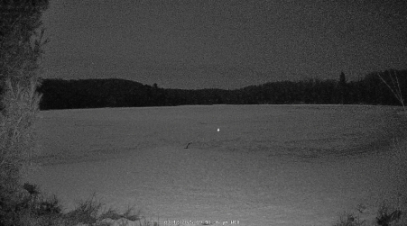 Image from 2025-03-12
