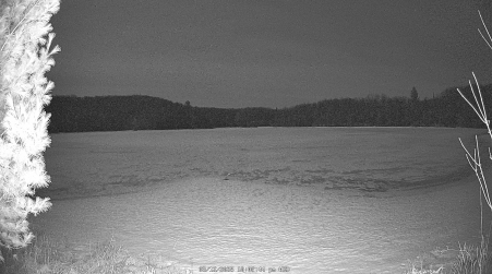 Image from 2025-03-12
