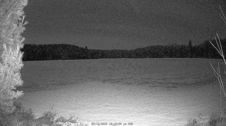 Image from 2025-03-12