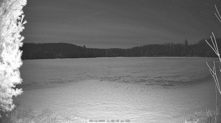 Image from 2025-03-12