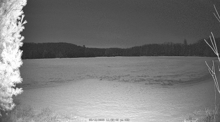 Image from 2025-03-12