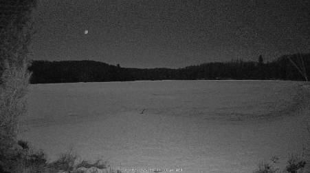 Image from 2025-03-12
